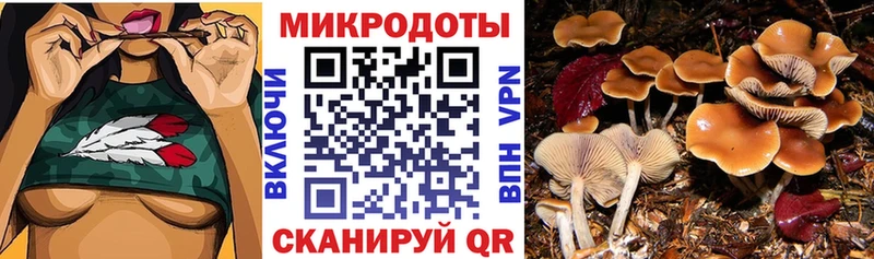 Галлюциногенные грибы MAGIC MUSHROOMS мега маркетплейс Благодарный